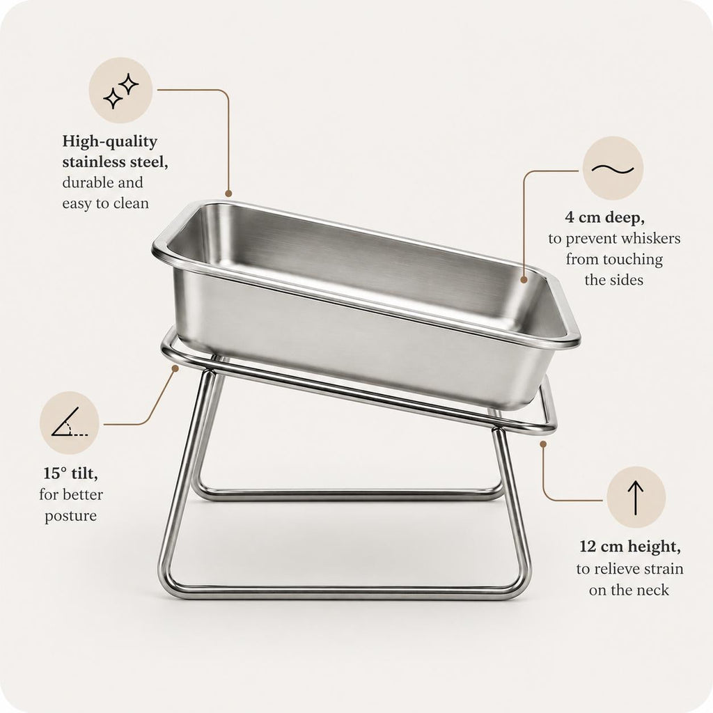 The Eversill bowl, medium: 15 degree tilt, 12 cm height