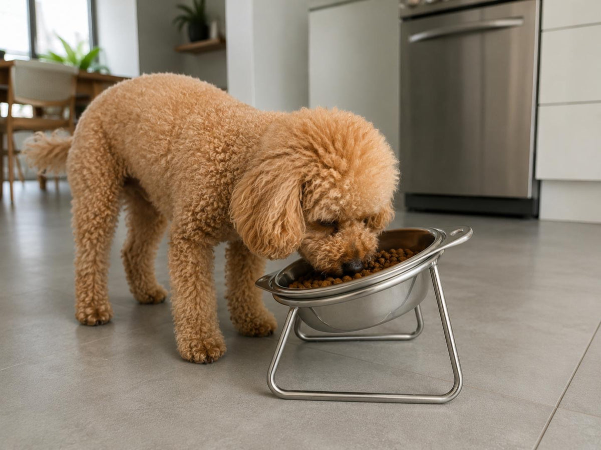 Less strain. Straighter posture. Happier pet.