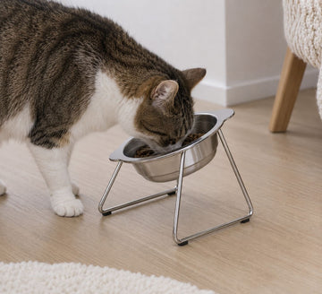 A cat eating from the Eversill bowl